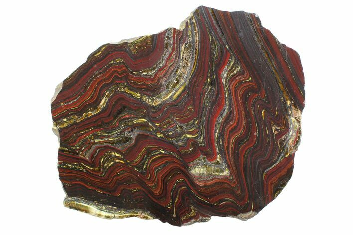 Polished Tiger Iron Stromatolite Slab - Billion Years #354951